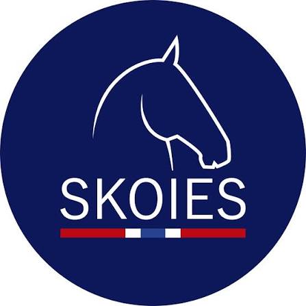 Skoies AS
